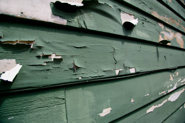 Storm Damage Siding Repair in Fridley, MN