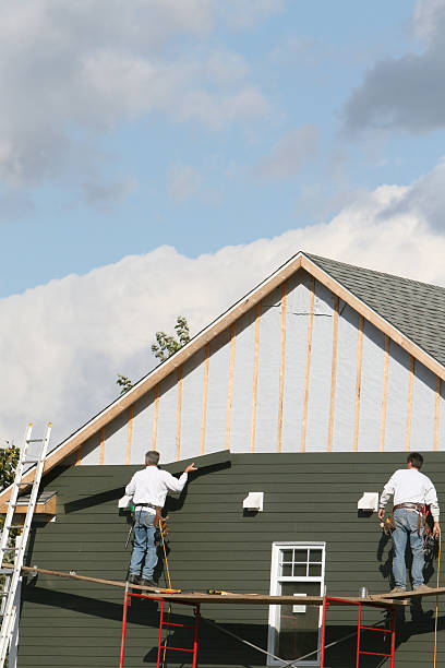 Best Stone Veneer Siding  in Fridley, MN