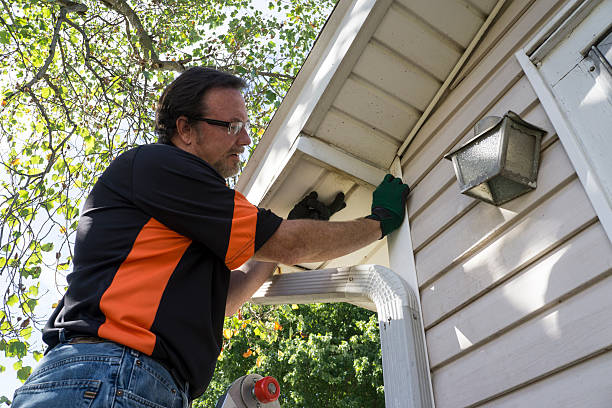 Best Siding Maintenance  in Fridley, MN